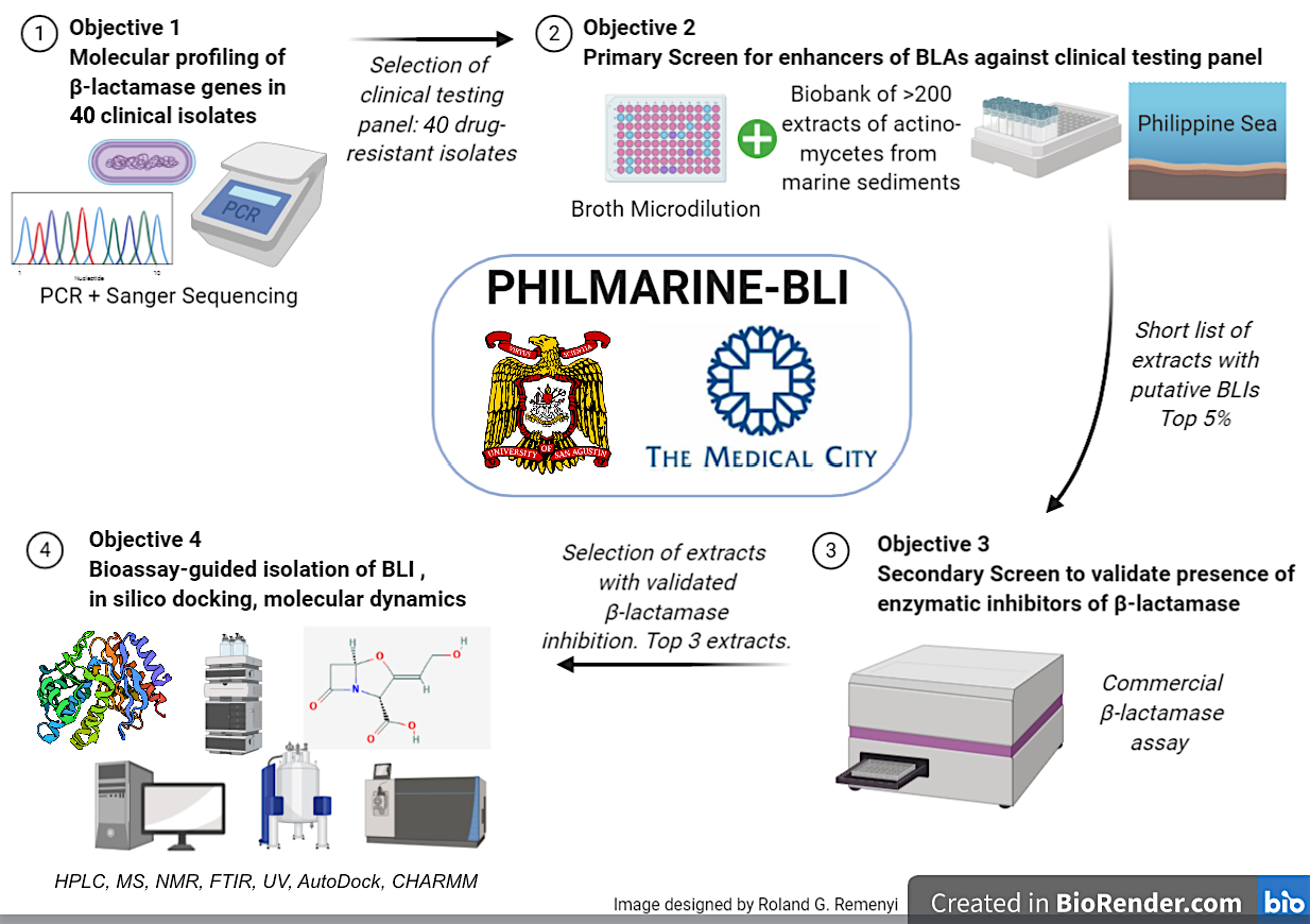 Graphical Abstract